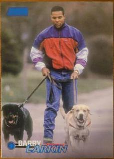 Barry Larkin