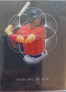Miguel Bleis