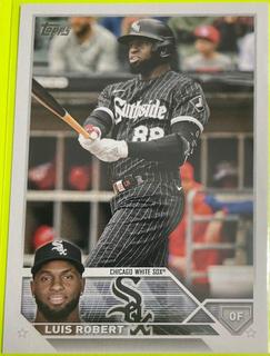 Luis Robert