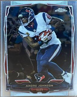 Andre Johnson