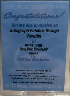 Aaron Judge