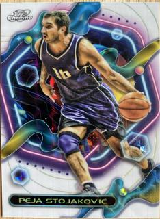 Peja Stojakovic