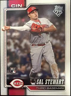 Sal Stewart