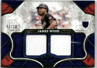 James Wood