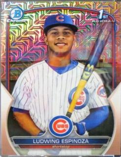 Ludwing Espinoza
