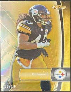 Troy Polamalu