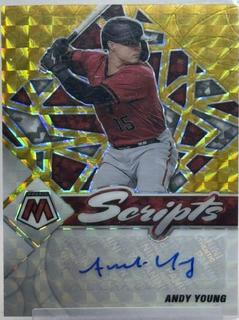 Andy Young