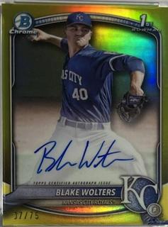Blake Wolters