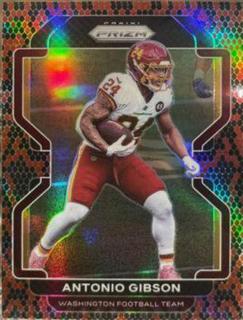 Antonio Gibson
