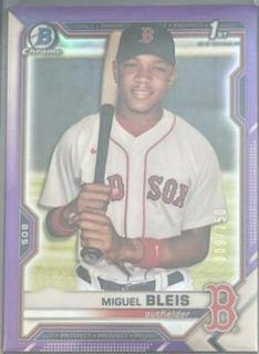 Miguel Bleis