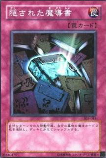Hidden Spellbook 303-045