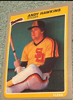 Andy Hawkins