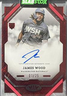 James Wood