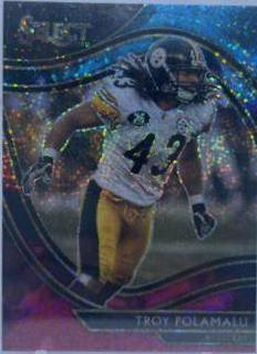 Troy Polamalu