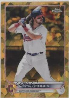 Austin Hedges