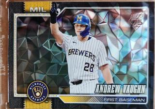 Andrew Vaughn