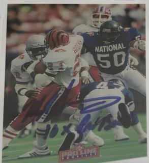 Mike Singletary