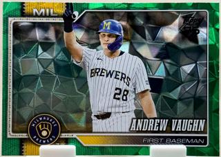 Andrew Vaughn