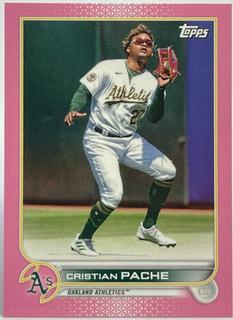 Cristian Pache