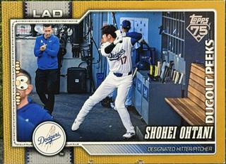 Shohei Ohtani
