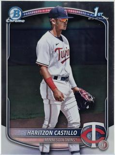 Haritzon Castillo