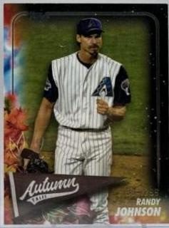 Randy Johnson