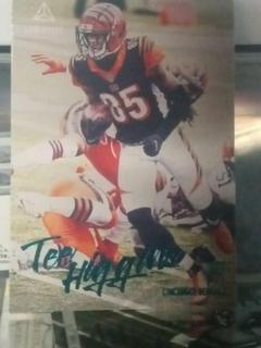 Tee higgins