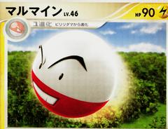 Electrode #29