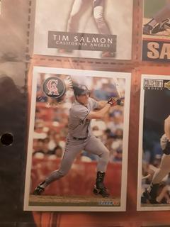 Tim Salmon
