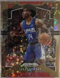Terance Mann