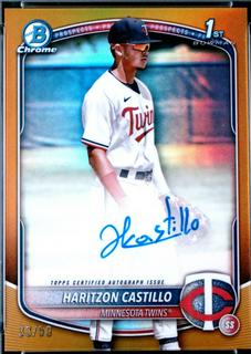 Haritzon Castillo