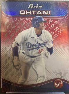 Shohei Ohtani