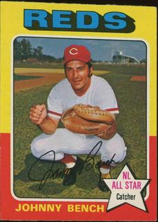 Johnny Bench