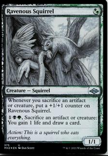 Ravenous Squirrel