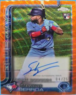Steward Berroa