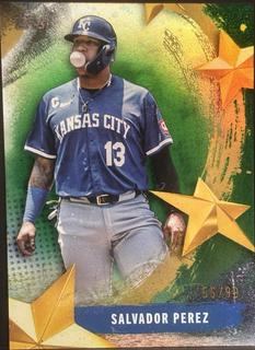 Salvador Perez