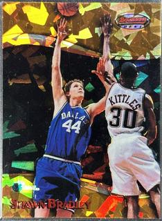 Shawn Bradley