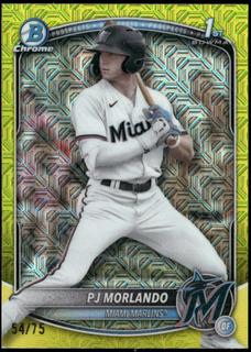 PJ Morlando