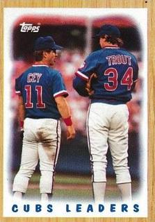 Cubs Leaders