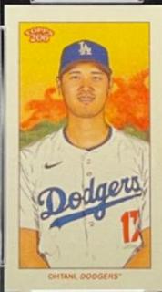 Shohei Ohtani