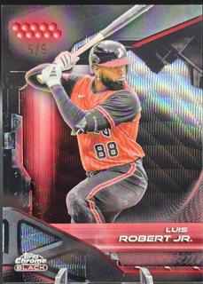 Luis Robert Jr.