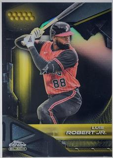 Luis Robert Jr.