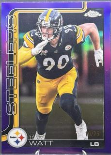 T.J. Watt
