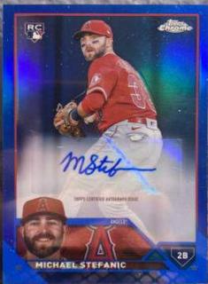 Michael Stefanic