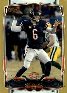 Jay Cutler