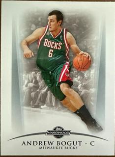 Andrew Bogut