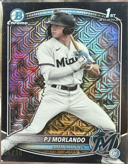 PJ Morlando