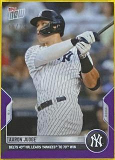 Aaron Judge