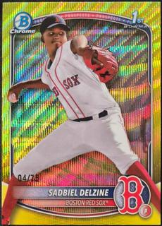 Sadbiel Delzine