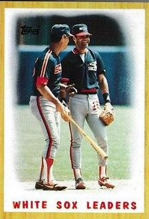 White Sox Leaders